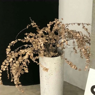 Furry插画构图思路福瑞群